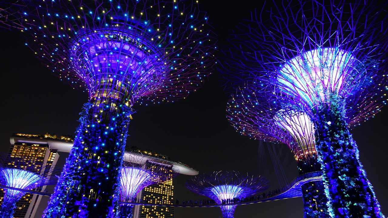 2024年香港港六+彩开奖号码,花娃在现代社会中的角色与影响探讨
