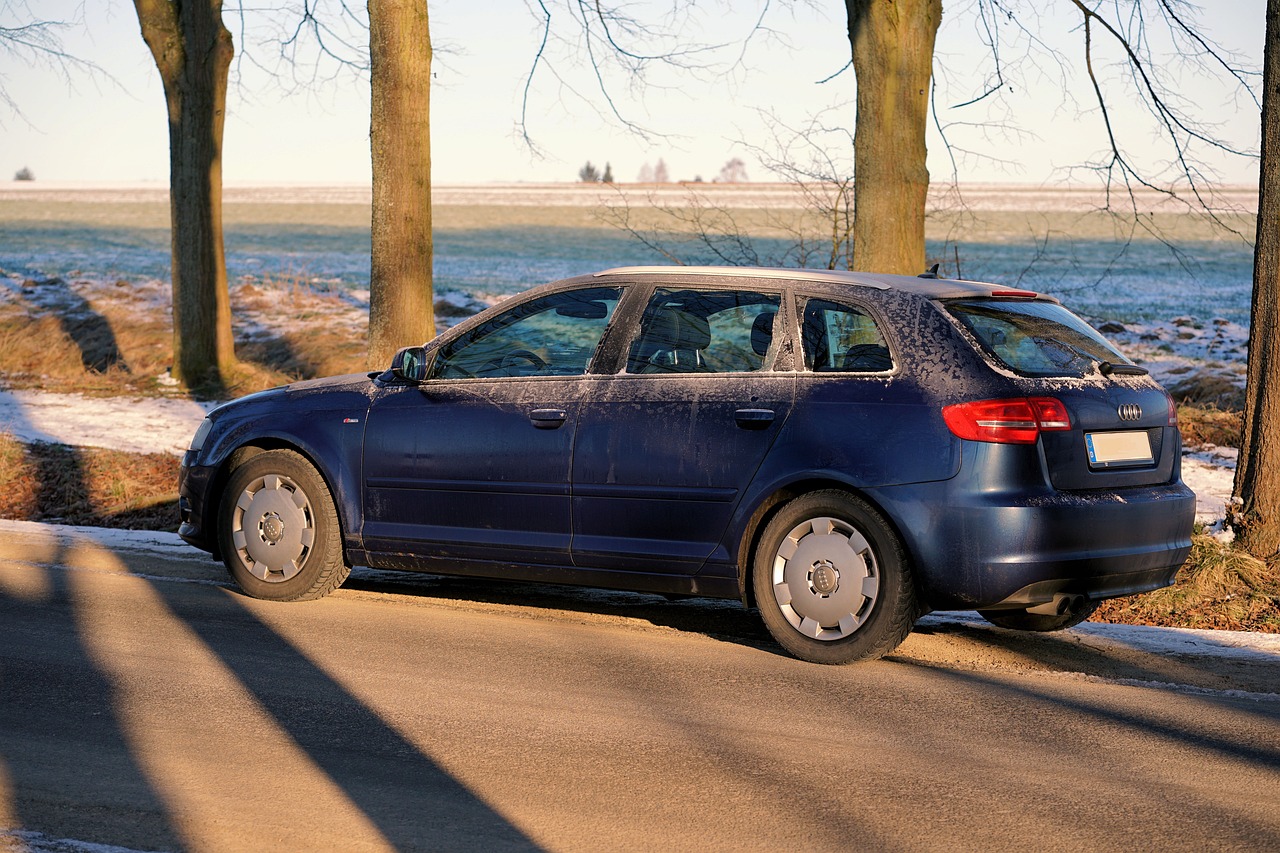 2004新澳门天天开好彩51期，快速解答方案实践，家庭版GT321.245
