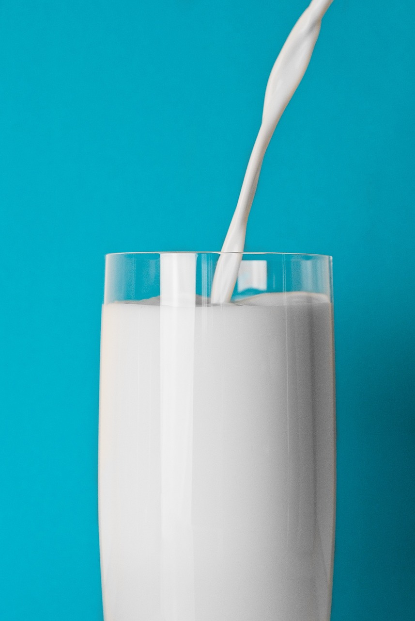 射阳辉山乳业最新动态报告与消息概览