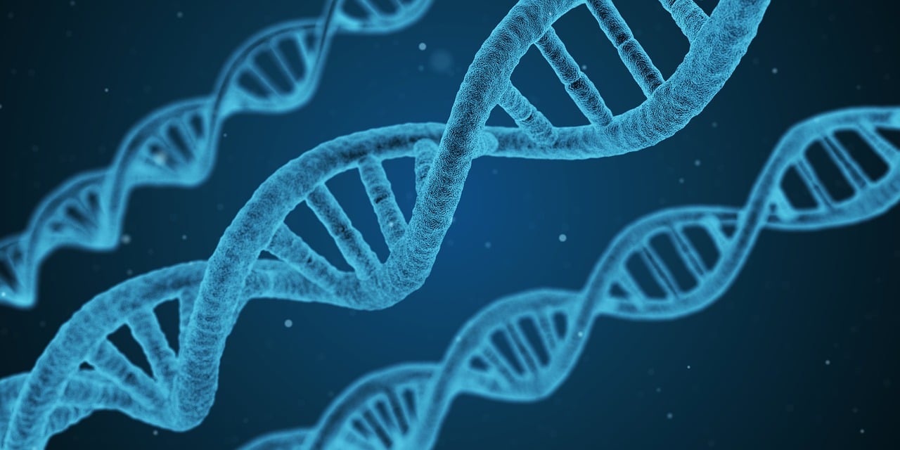 2024新澳门精准资料免费，高级材料科学与工程学评级：7.57.72分