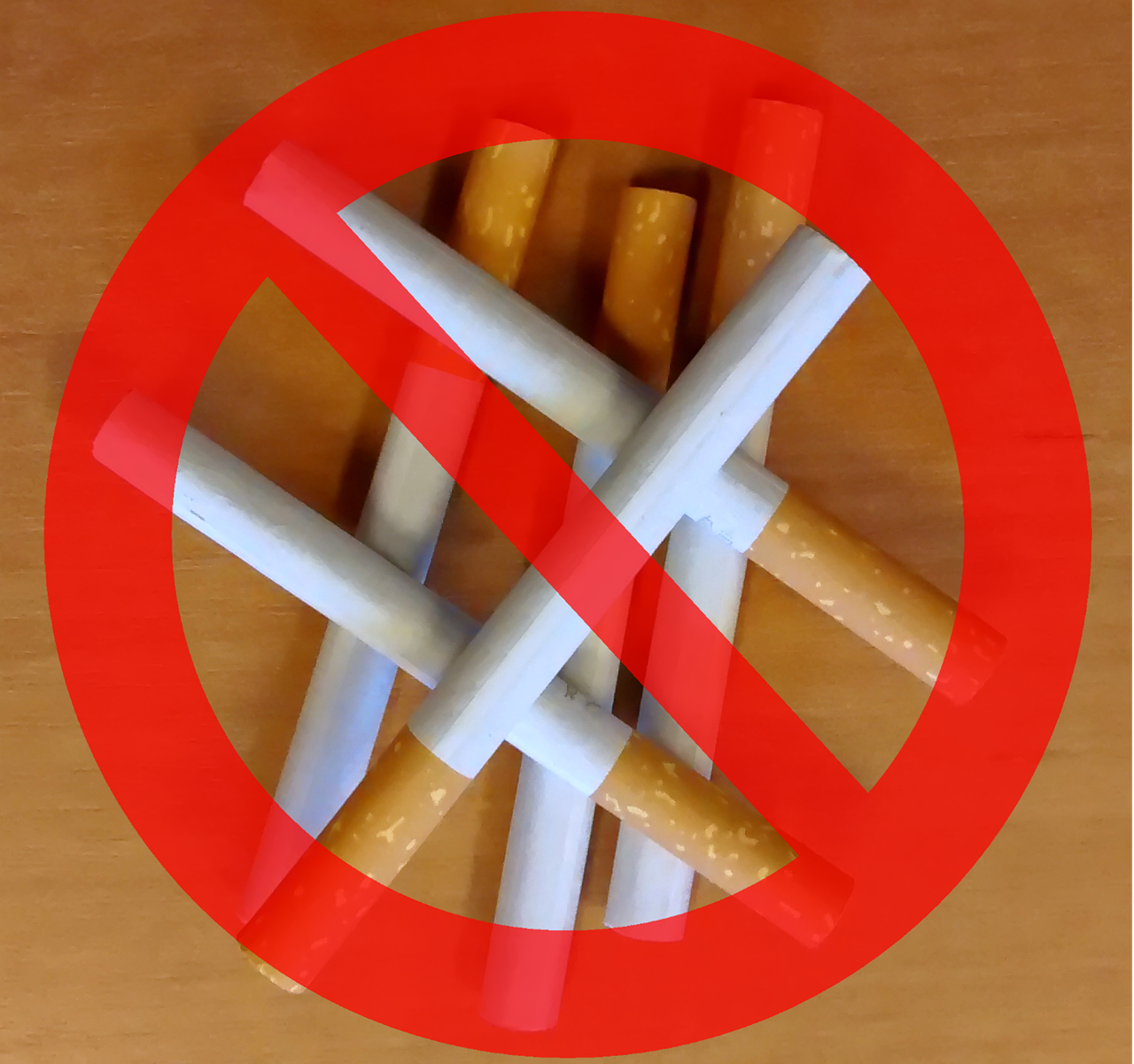 环球捕手最新动态，探索前沿，潮流引领