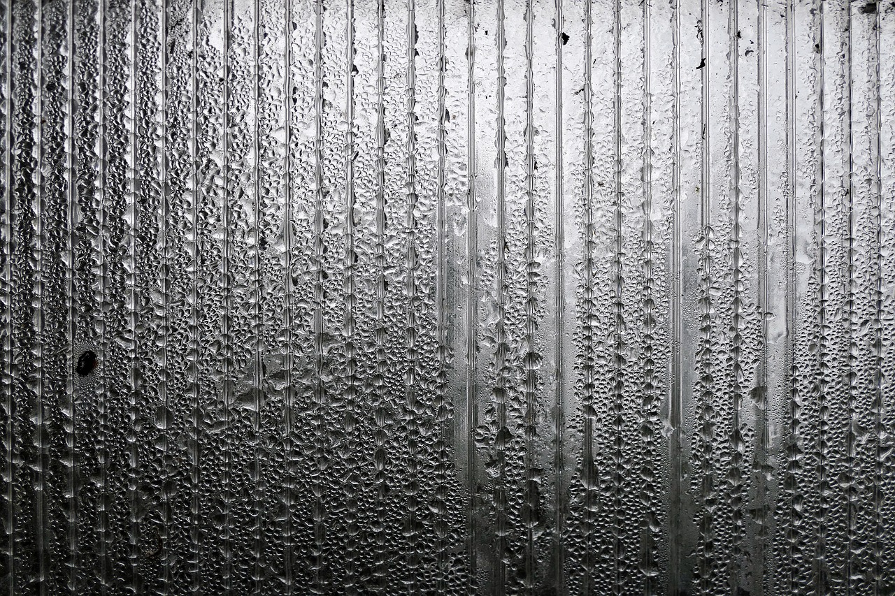 沈阳暴雨最新报道，大雨背后的故事与影响