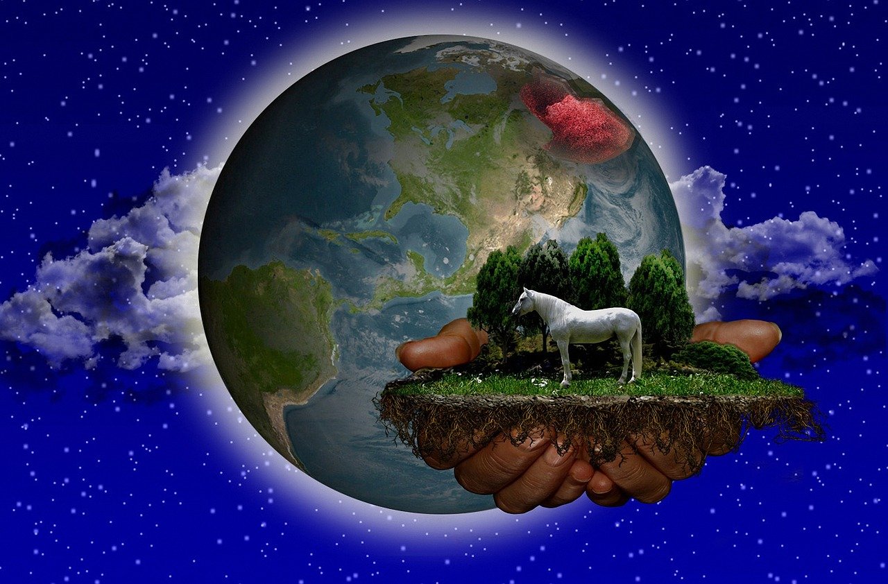 最新立体地图重塑世界认知新视角